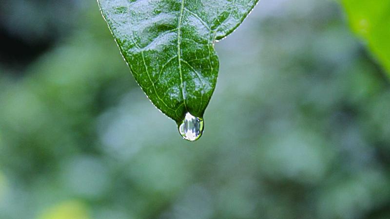 白菜网项目社区：构建项目合作新生态